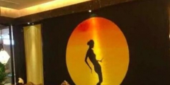 61歲楊麗萍憑一張剪影，版權侵權索賠100萬！