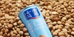 汕頭法院判了！承德露露不服！一個商標使用權引發(fā)的官司