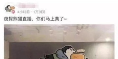 “王思聰”商標(biāo)被公然叫賣80萬！