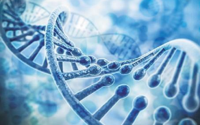 一起涉基因檢測發(fā)明專利侵權案成功調解