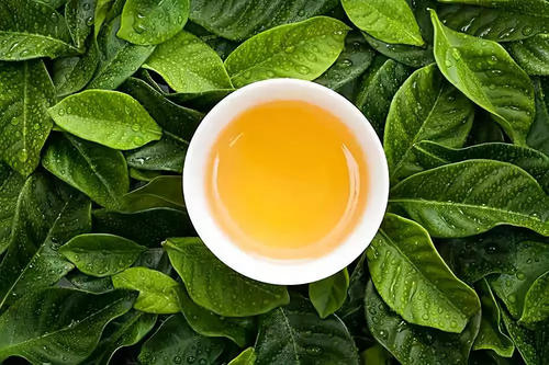 茶葉零售屬于商標(biāo)哪個(gè)類(lèi)別