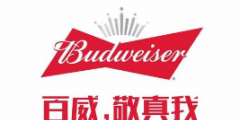 假冒 “百威”商標罐裝啤酒，廣西玉林興業縣法院審理首起侵犯知識產權罪案件