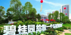 五星級的家”字樣，被認(rèn)定屬于不得作為商標(biāo)使用的標(biāo)志