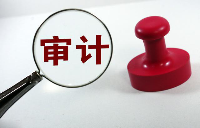 專項審計包括哪些內容(專項審計什么意思)